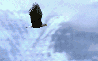 【企业动态】ST宜康新增1件判决结果涉及买卖合同纠纷